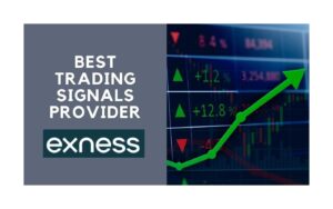 Exness Trading Signals